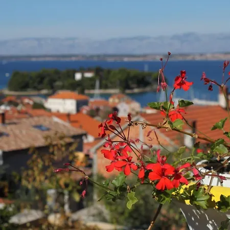 With Parking Space Preko, Ugljan - 8417 Apartamento *