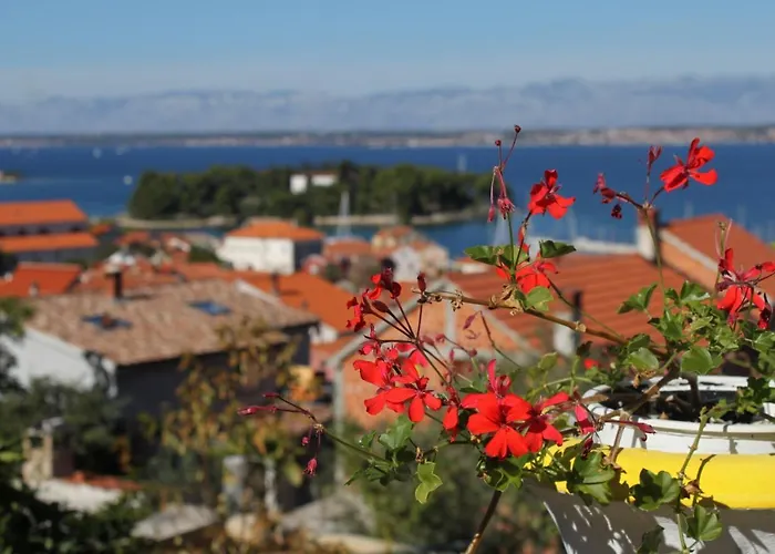 With Parking Space Preko, Ugljan - 8417 Apartmán *